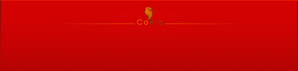 Achtergrond sitemap Cobra
